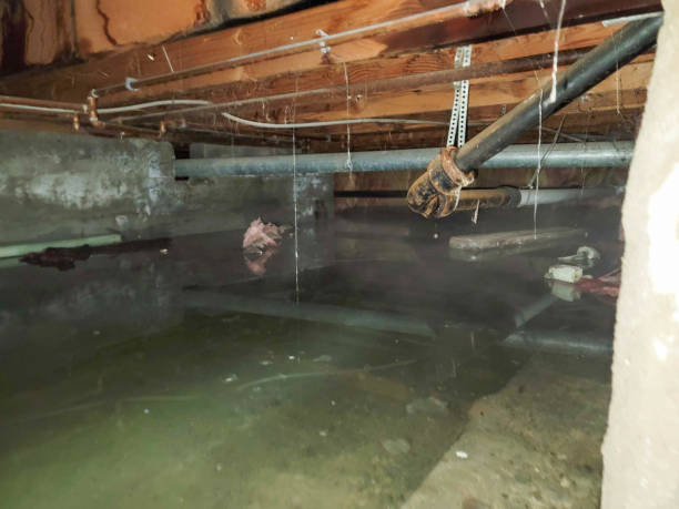 Best Water damage cleanup near me  in Gibbsboro, NJ