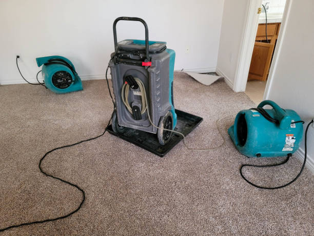 Best Flood restoration services  in Gibbsboro, NJ