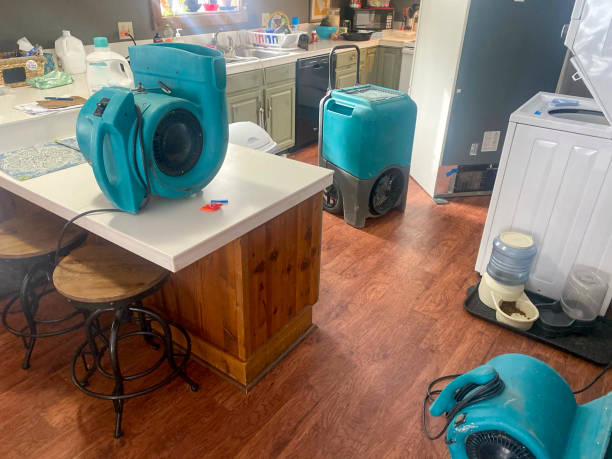Best Flooded house restoration  in Gibbsboro, NJ