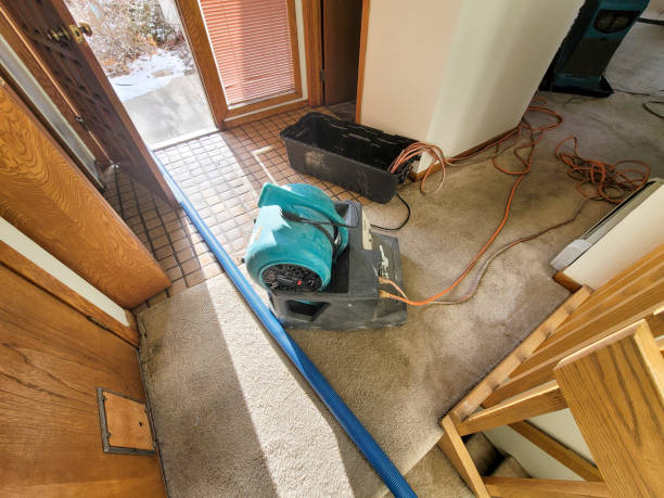 Best Water damage contractors near me  in Gibbsboro, NJ