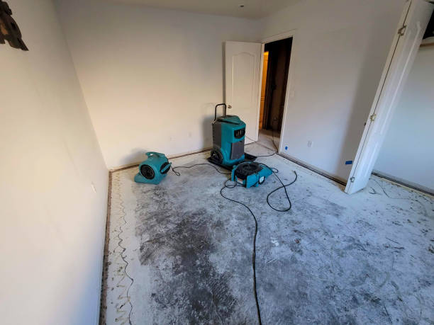 Best Commercial water damage restoration  in Gibbsboro, NJ