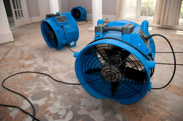 Best Basement water damage restoration  in Gibbsboro, NJ