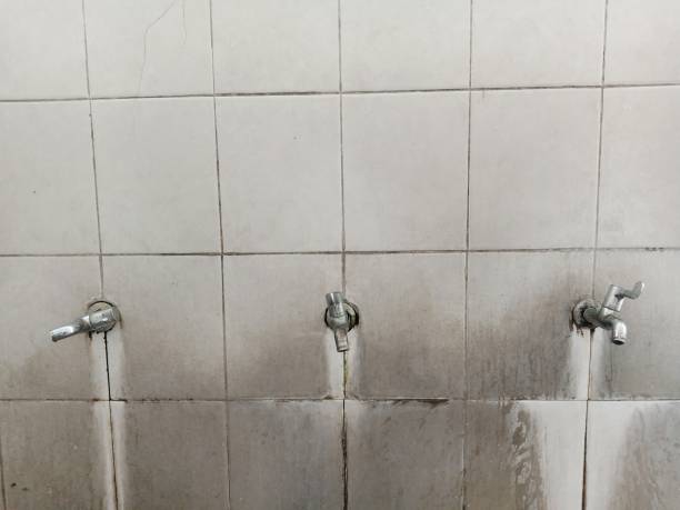 Best Emergency water damage restoration  in Gibbsboro, NJ